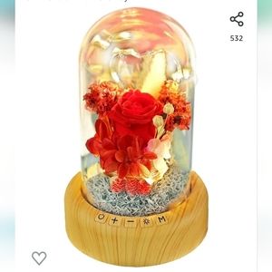 Preserved rose Bluetooth speaker/light